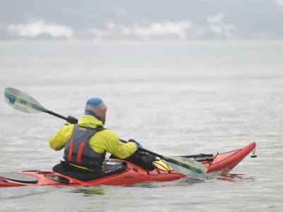 Guided Sea Kayaking Excursion Among the Ice in Gaspé Bay, Forillon National Park