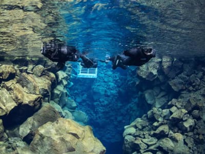 Snorkelling in Silfra Fault in Þingvellir National Park from Silfra near Reykjavík