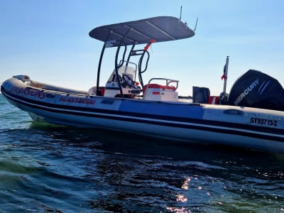 Boat trip in the Camargue from Le Grau-du-Roi