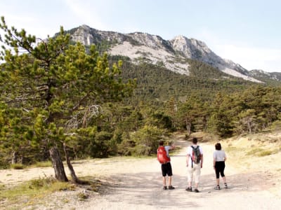 Wandertour in Castellane, Gorges du Verdon