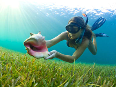 Snorkel y paseo en barco por la Riviera de Makarska, Croacia