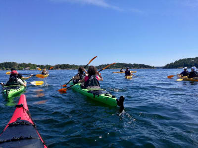 Excursion en kayak de mer dans l'archipel de Stockholm