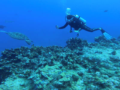 Curso de buceo en aguas abiertas PADI en la bahía de Tamarin en Mauricio