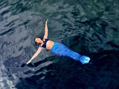 Mermaid Snorkelling on the island of Cres from Lovran near Rijeka