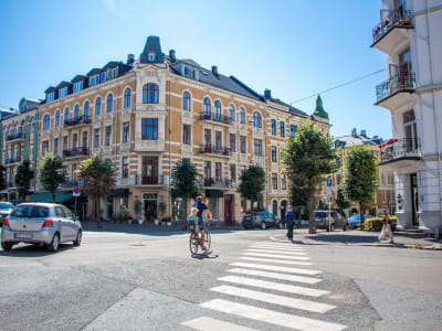 Visite guidée à vélo autour d'Oslo