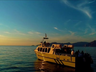 Croisière au coucher du soleil dans les Calanques de Piana depuis Sagone ou Cargèse, Corse