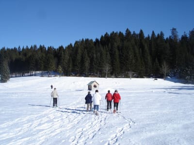 Randonnée en raquettes à neige et fondue au Massif de la Chartreuse