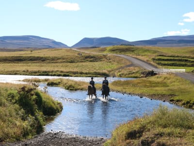 Excursion à cheval de Varmahlid à la chute d'eau de Reykjafoss et à la rivière Svarta