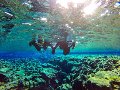 Snorkeling dans la fissure de Silfra et découverte du Cercle d'Or