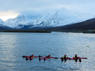 Ice Floating in the Arctic Waters of the Lyngen Alps, from Nord Lenangen