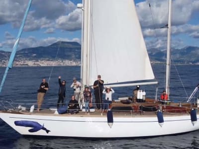 Geführter Schnorchel- und Segelausflug bei Nizza