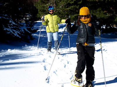 Excursión con raquetas de nieve por el Etna