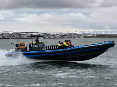 Aventura en barco semirrígido para avistar ballenas desde Reikiavik