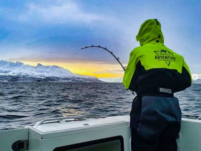 Angelausflug mit einem Boot von Skjervøy aus