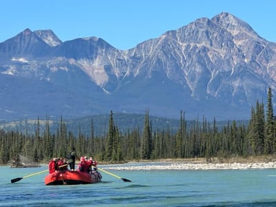 Rafting panoramique sur l'Athabasca dans le Parc national de Jasper, Alberta