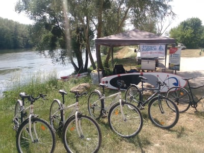 Bike Rental in Joigny, near Auxerre