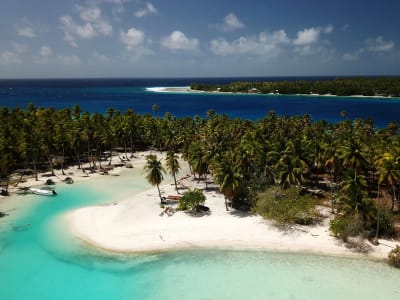 Descubra la Laguna Verde de Rangiroa durante una excursión en barco