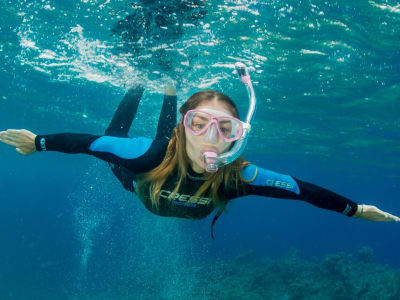 Guided snorkelling excursion in Antibes