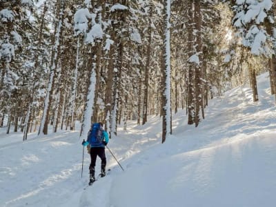 Skitouren im Jacques-Cartier-Nationalpark, in der Nähe von Quebec City