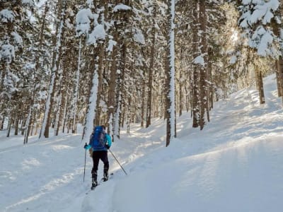 Descubrimiento del esquí de travesía en el Parque Nacional Jacques-Cartier, cerca de Quebec