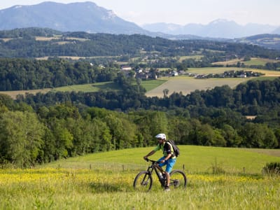 Guided Electric Mountain Bike Tour in the Albanais Region, near Annecy