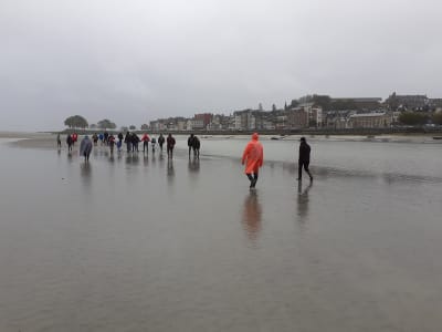 Guided Hiking in the Baie de Somme