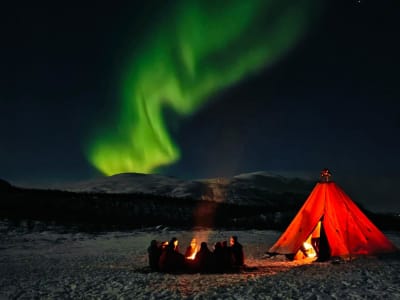 Northern Lights Husky Hike around Abisko Valley