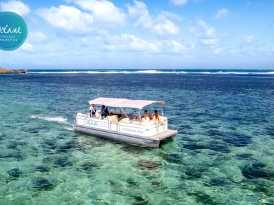 Excursion privée en bateau ponton sur le lagon de l’Ile aux Cerfs, Île Maurice