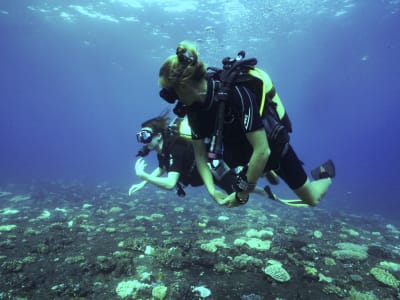 Discover scuba diving in L'Étang-Salé into Réunion’s marine reserve