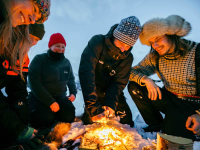 Experiencia de naturaleza y vida salvaje con una visita al Parque de Nieve de las Cúpulas de Hielo de Tromsø desde Tromsø