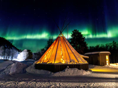 Arctic Wilderness Evening with Huskies, Dinner & Northern Lights in Alta