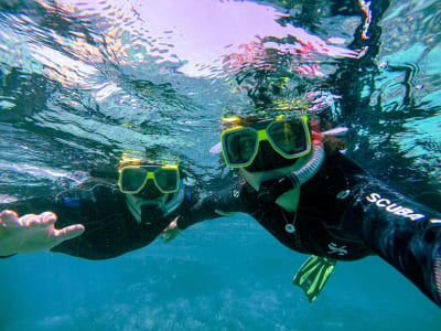Excursión guiada de Snorkel desde Cala'n Bosch, Menorca
