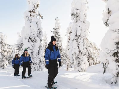 Arctic Snowshoeing Excursion from Rovaniemi