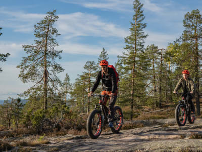 Summer Electric Fat Biking Tour in Finnish Lapland from Rovaniemi