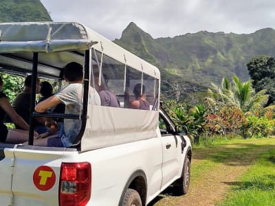 Excursión en 4x4 y agroturismo en Raiatea, Polinesia Francesa