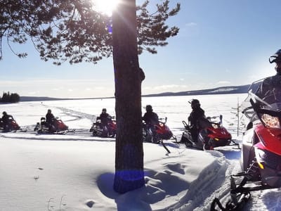 Excursión en Moto de nieve por la naturaleza desde Rovaniemi