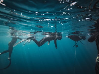 Iniciación a la apnea profunda en el Canal de Hossegor desde Capbreton