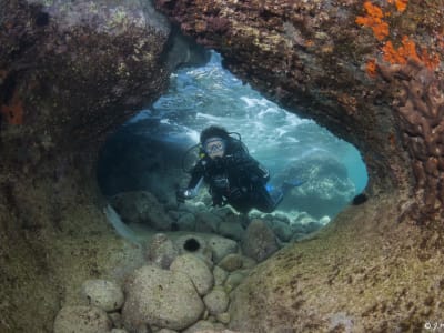 Discover Scuba Diving in Epidaurus, Greece