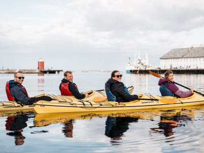 Excursión en kayak de mar desde Ålesund