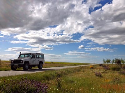 Excursion en jeep le long du parc national du Douro depuis Miranda do Douro