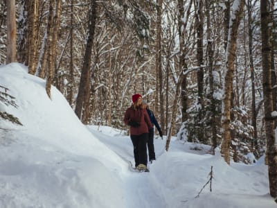 Randonnée guidée en raquettes dans le Parc national de la Jacques-Cartier, Québec