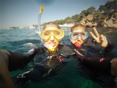 Guided snorkeling excursion in the Pelagos sanctuary, Antibes