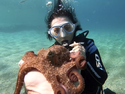 Entdecken Sie das Tauchen in der Bucht von Agia Pelagia bei Heraklion