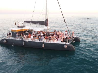 Catamaran trip in Sancti Petri, Cádiz