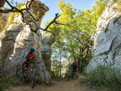 Recorrido en bicicleta de montaña por el bosque de Païolive, Ardèche