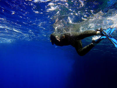 Excursión guiada de snorkel por la isla de Gozo