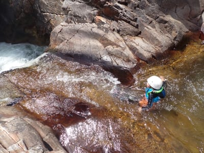 Die Dourbie-Schlucht im Nationalpark der Cevennen