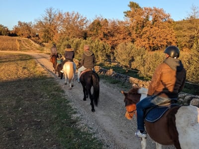 Reiten in Brignoles, Provence Verte