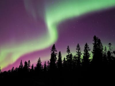 Excursion aux aurores boréales depuis Luleå