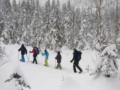 Alquiler de raquetas de nieve en el Parque de Monts-Valin, Saguenay